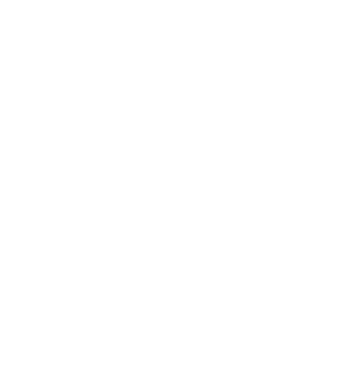 Skywolf AI logo